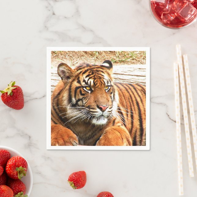 Tiger Napkin (Insitu)