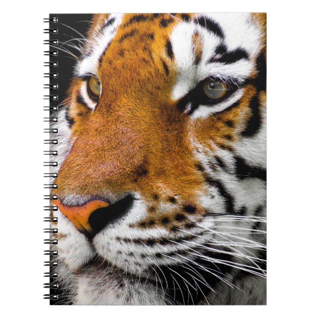 Tiger Notebook (Front)