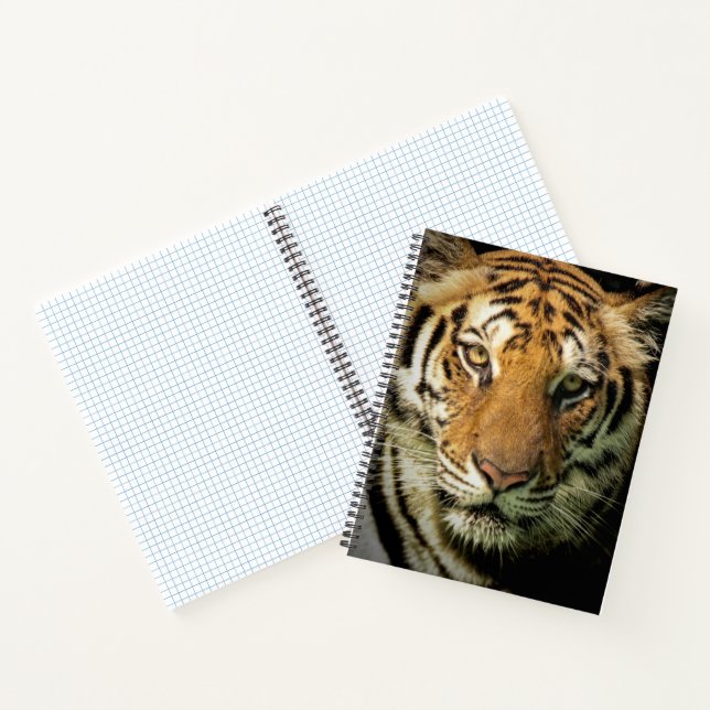 tiger notebook (Inside)