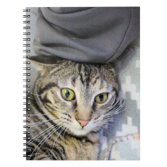 Tiger Notebook (Front)