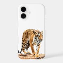 Tiger On A Log