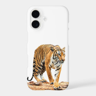 Tiger On A Log