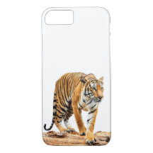 Tiger On A Log