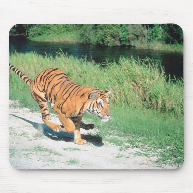 Tiger on path mouse mat (Front)