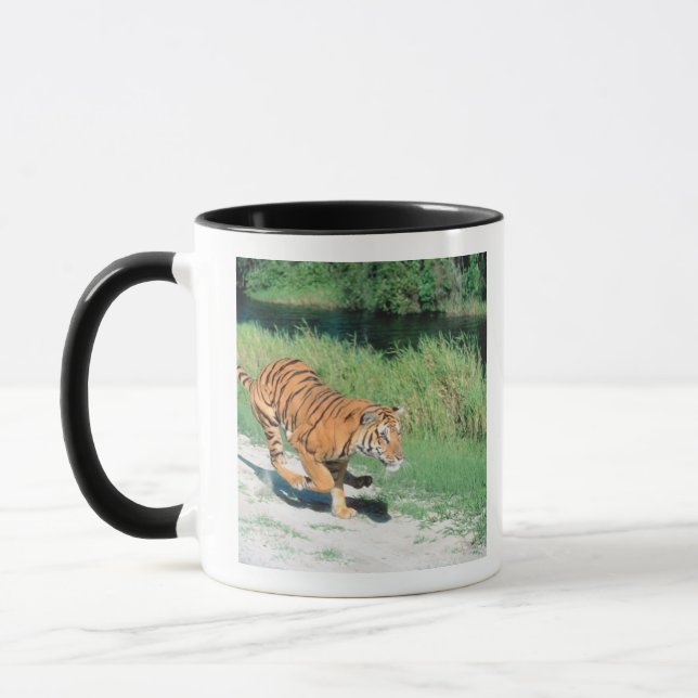 Tiger on path mug (Left)