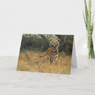Tiger on The Watch Wilhelm Kuhnert Card