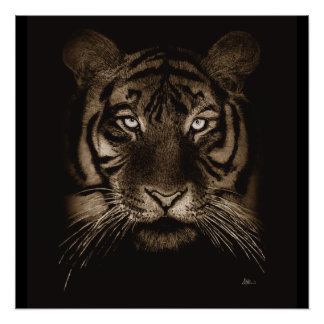 Tiger Original Art Poster Print