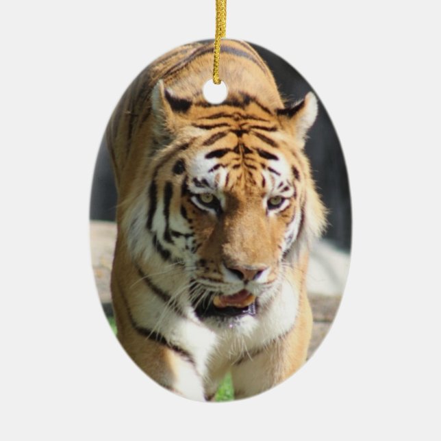 Tiger ornament (Front)