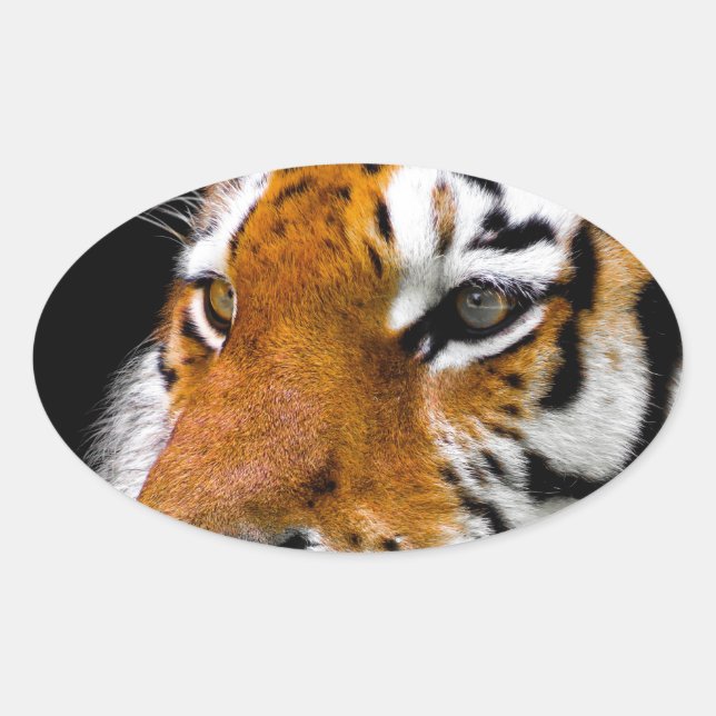 Tiger Oval Sticker (Front)