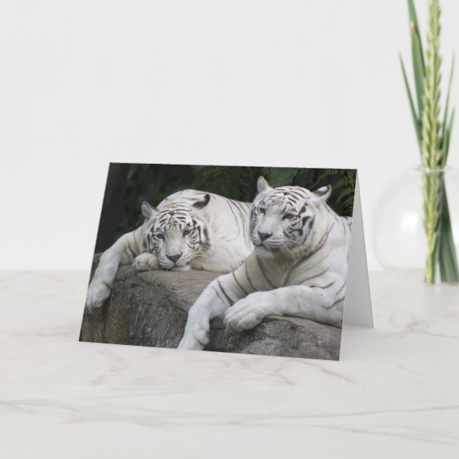 Tiger Pair Card (Front)