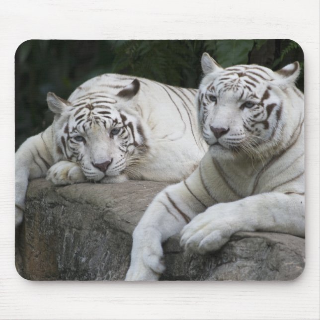 Tiger Pair Mouse Mat (Front)