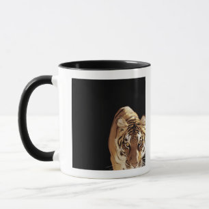 Tiger (Panthera tigris) Mug