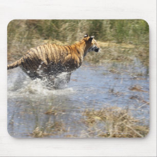 Tiger (Panthera tigris) running through water. Mouse Mat