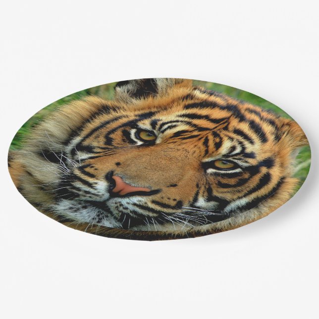 Tiger Paper Plates (Angled)