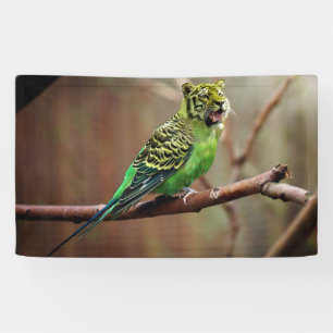 Tiger Parakeet Banner