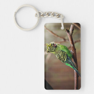 Tiger Parakeet Key Ring