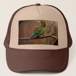 Tiger Parakeet Trucker Hat