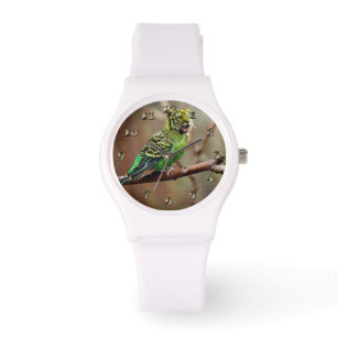 Tiger Parakeet Watch
