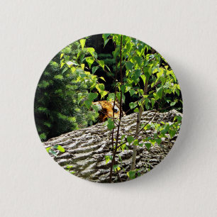 Tiger Peek-a-boo Button