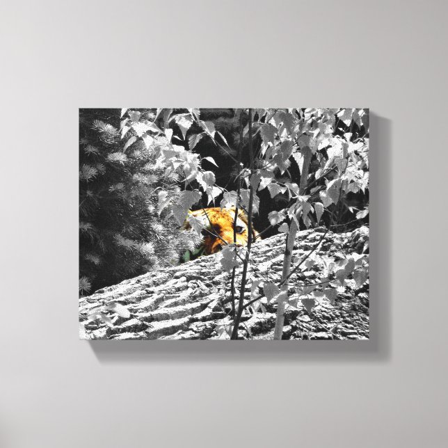 Tiger Peek-a-boo Canvas 10x8 Print (Front)