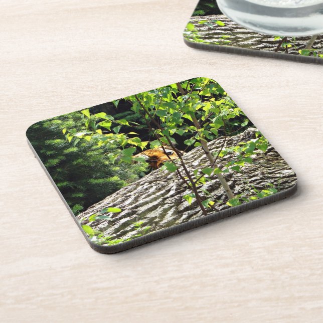 Tiger Peek-a-boo Hard Plastic Coaster (Left Side)