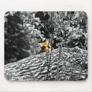 Tiger Peek-a-boo Mousapad Mouse Mat
