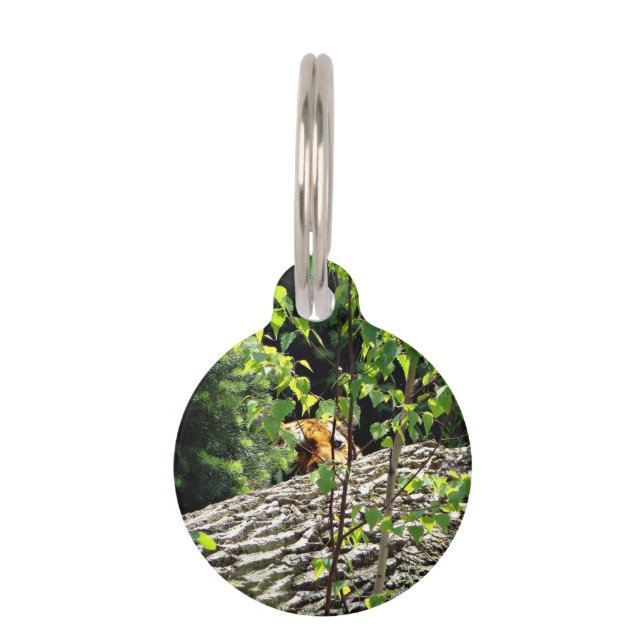 Tiger Peek-a-boo Pet Tag (Front)