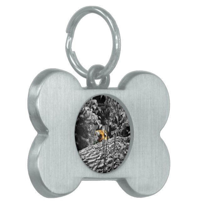 Tiger Peek-a-boo Pet Tag (Front Left)
