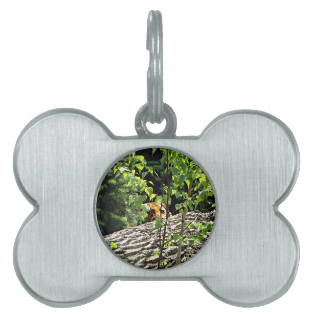 Tiger Peek-a-boo Pet Tag (Front)