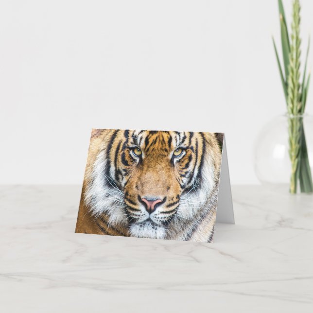 Tiger Personalised Name Happy Birthday Card (Front)
