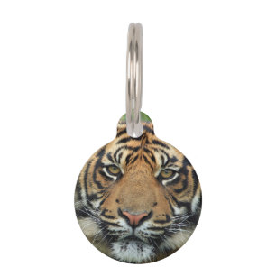 Tiger Pet Tag