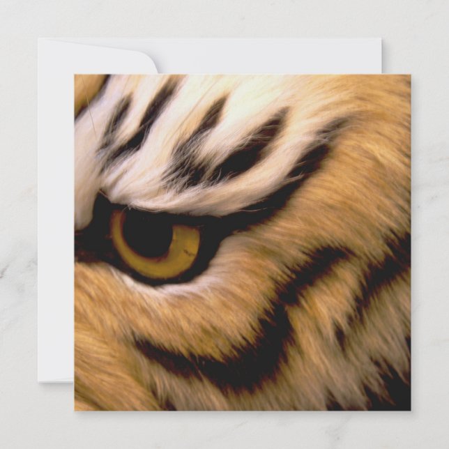 Tiger Photo Invitation (Front)
