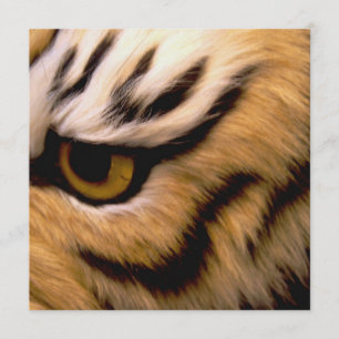 Tiger Photo Invitation