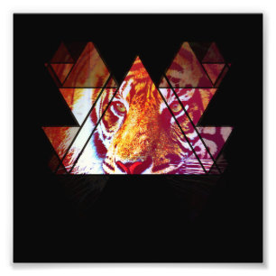 Tiger Photo Print