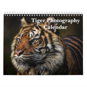 Tiger Photography Wild Animal 2025 Calendar
