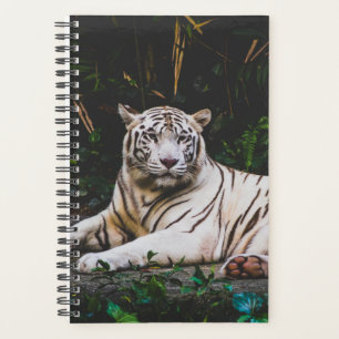 Tiger Planner