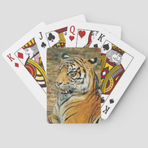 Tiger Playing Cards