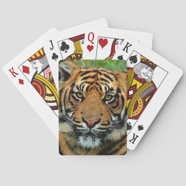 Tiger Playing Cards (Back)