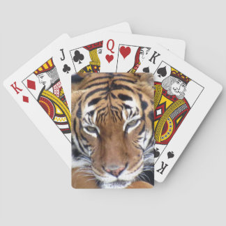 Tiger - Playing Cards
