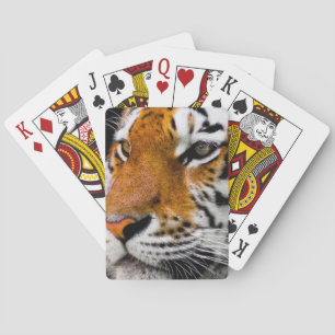 Tiger Playing Cards