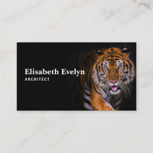 Tiger portrait of a bengal tiger in thailand business card