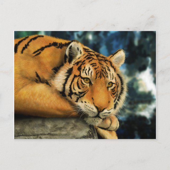 Tiger Postcard (Front)