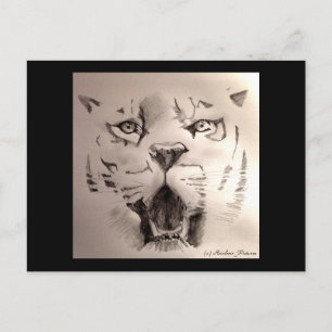 Tiger Postcard