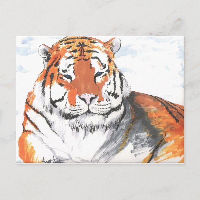 Tiger Postcard (Front)