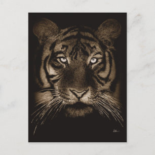 Tiger Postcard