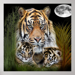 Tiger Poster
