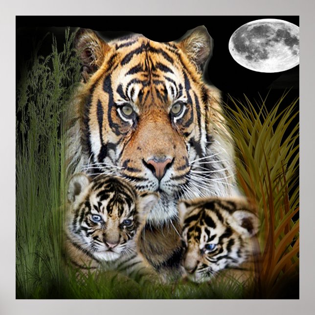 Tiger Poster (Front)
