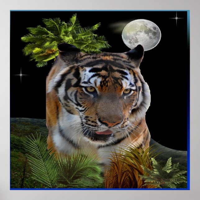 Tiger Poster (Front)