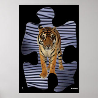 Tiger  Poster