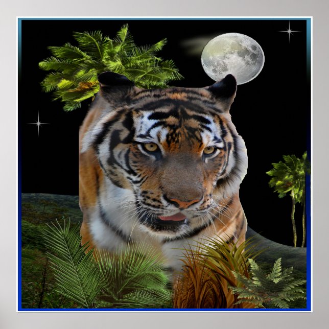 Tiger Poster (Front)